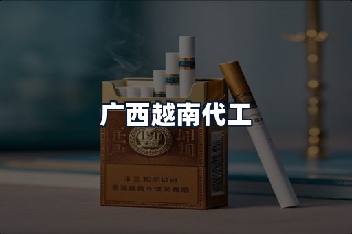 广西越南代工